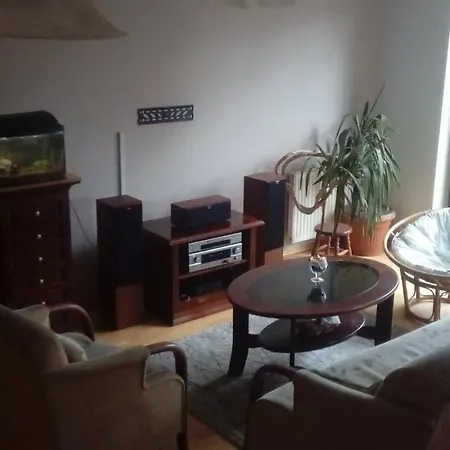 Homely Homestay *