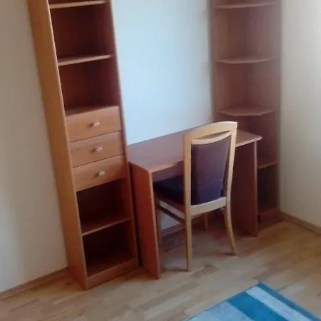 Homely Homestay *